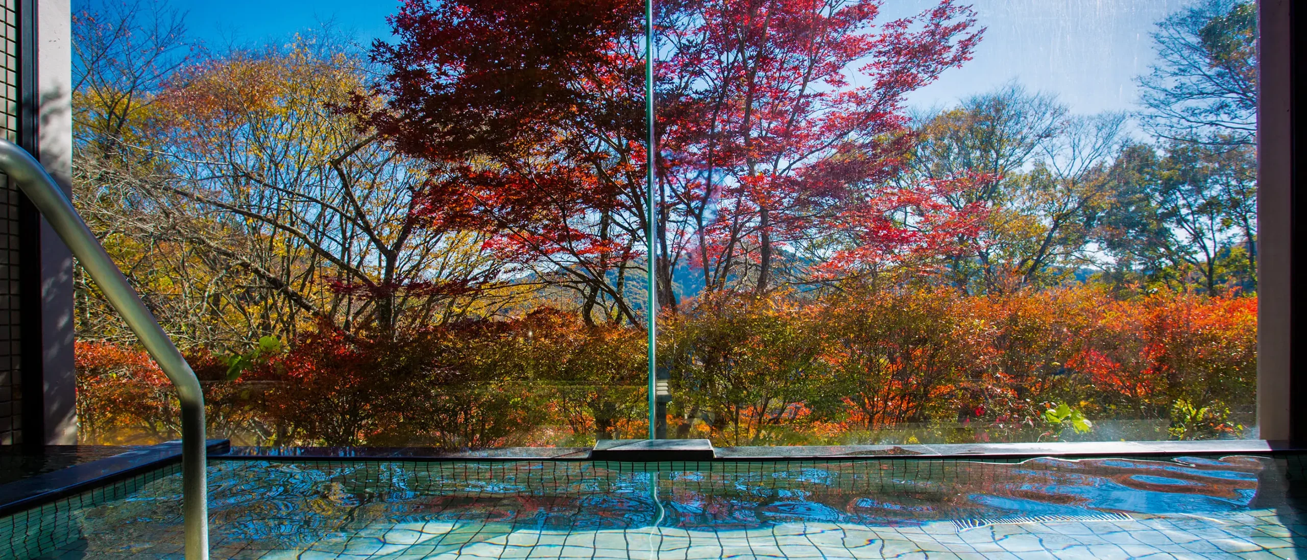 信州金熊温泉 大浴場から見える風景