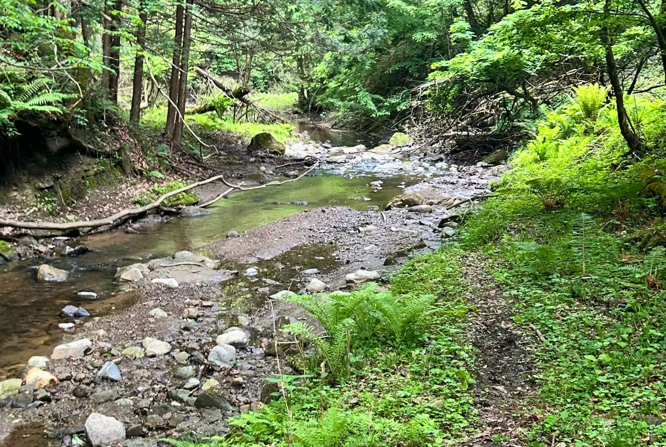 信州金熊温泉の源泉の近くの川